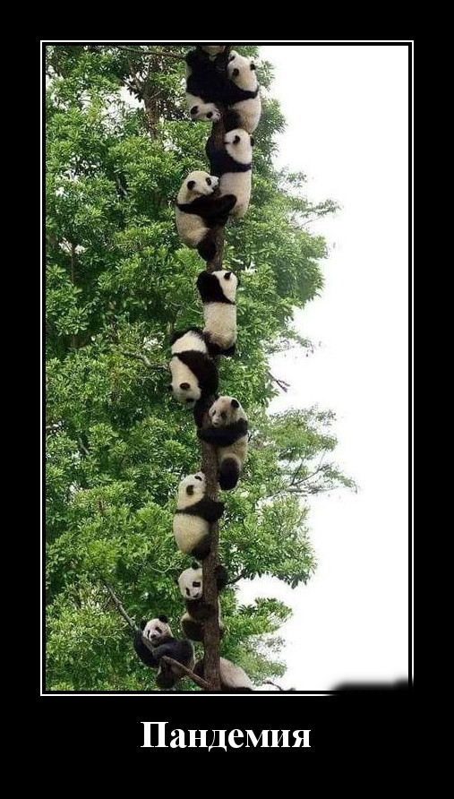 Podborka luchshikh demotivatorov 503 041